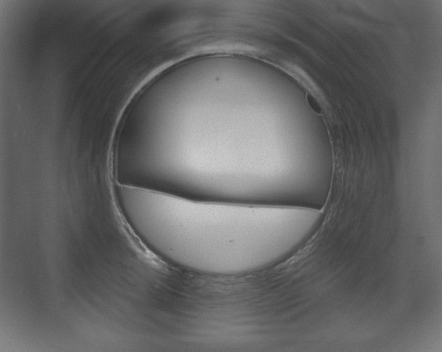 X0000073991044200608211037