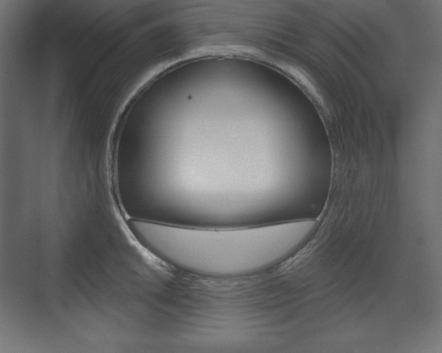 X0000073991046200608211037