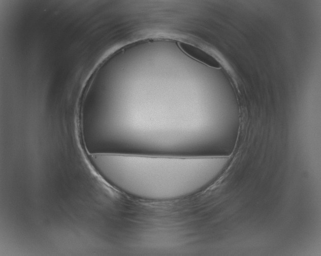 X0000073991048200608211037