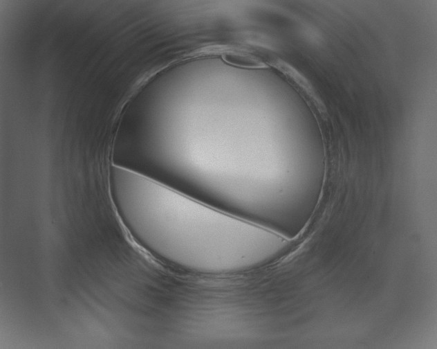 X0000073991049200608211037
