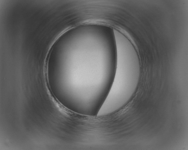 X0000073991050200608211037