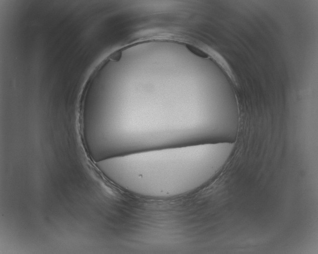 X0000073991051200608211037