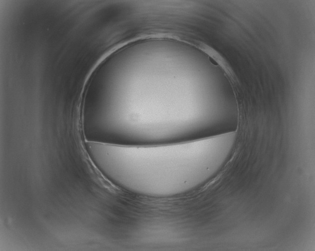 X0000073991052200608211037