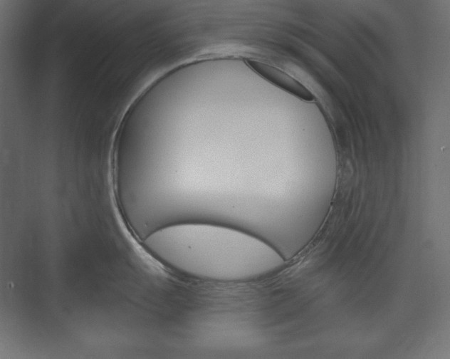 X0000073991055200608211037
