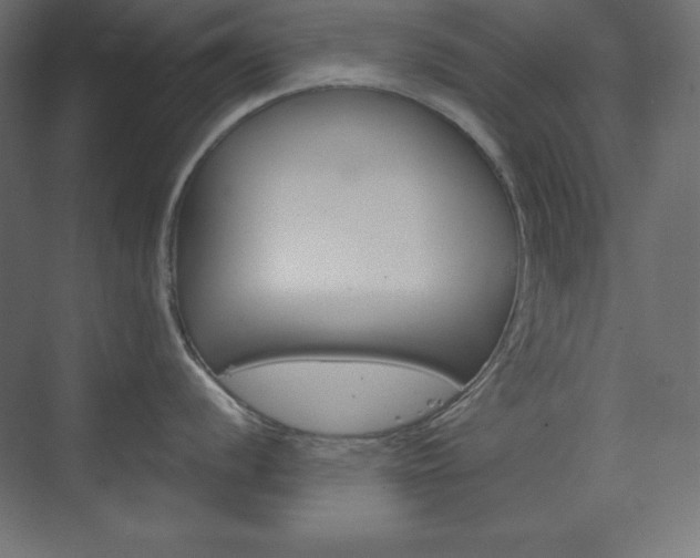 X0000073991056200608211037