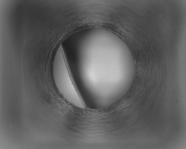 X0000073991057200608211036