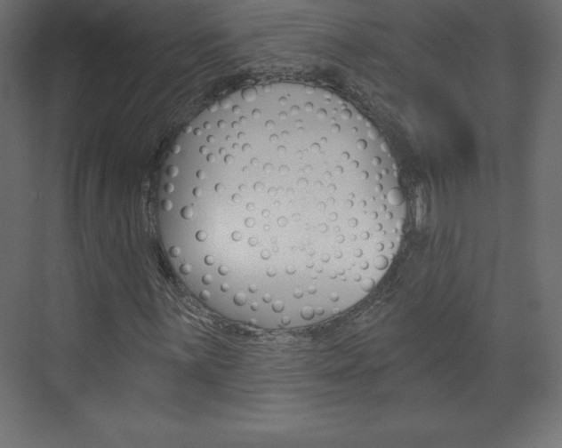 X0000073991059200608211036