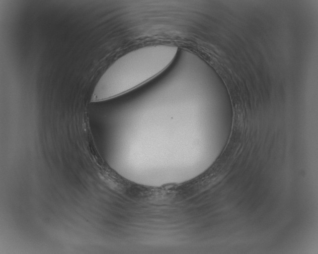 X0000073991060200608211036