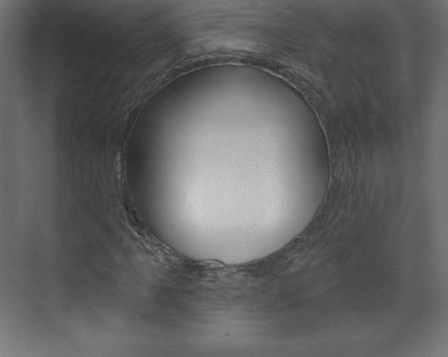 X0000073991061200608211036
