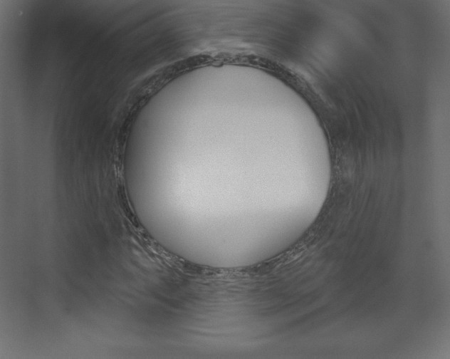 X0000073991063200608211036