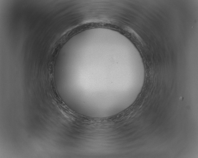 X0000073991064200608211036