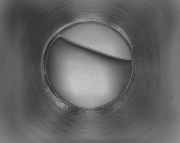 X0000073991072200608211036
