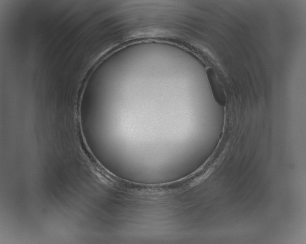 X0000073991073200608211036