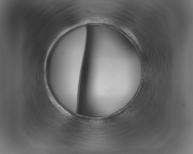 X0000073991080200608211036