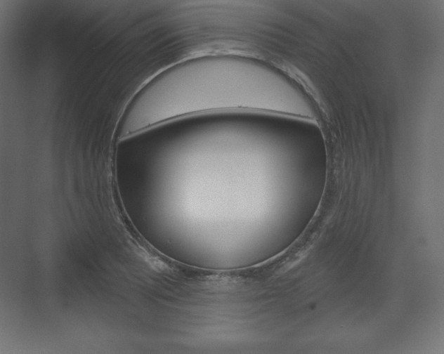 X0000073991081200608211036