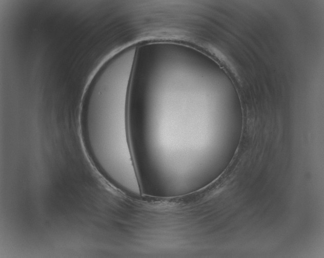 X0000073991085200608211036