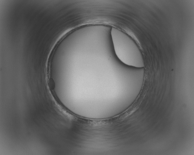 X0000073991087200608211036
