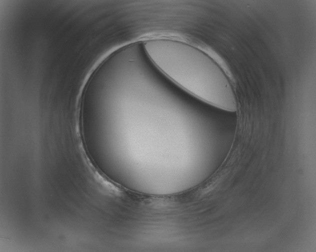X0000073991102200608211035
