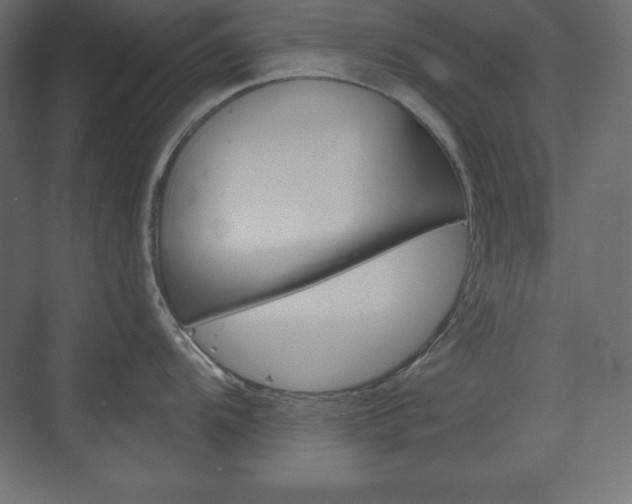 X0000073991104200608211035
