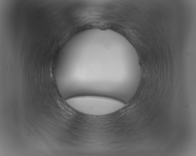 X0000073991106200608211034