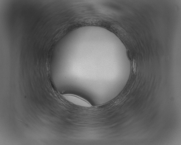 X0000073991107200608211034