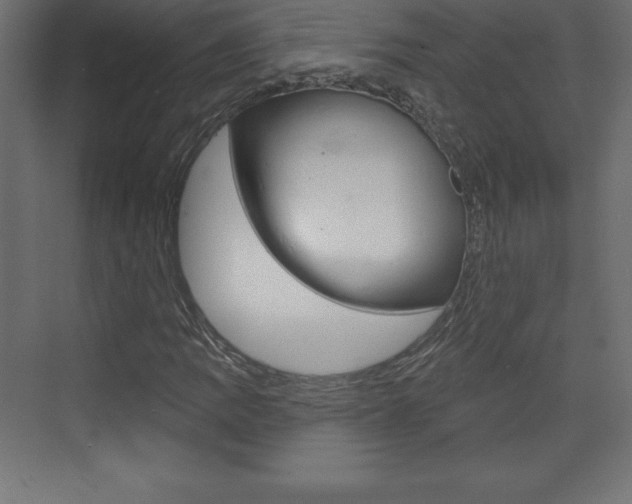 X0000073991109200608211035
