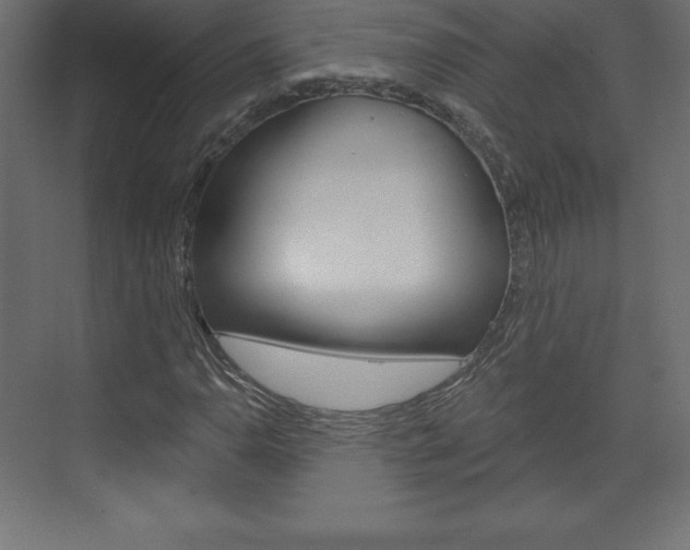 X0000073991110200608211035