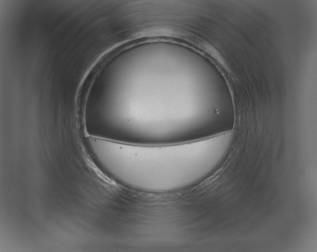 X0000073991116200608211035