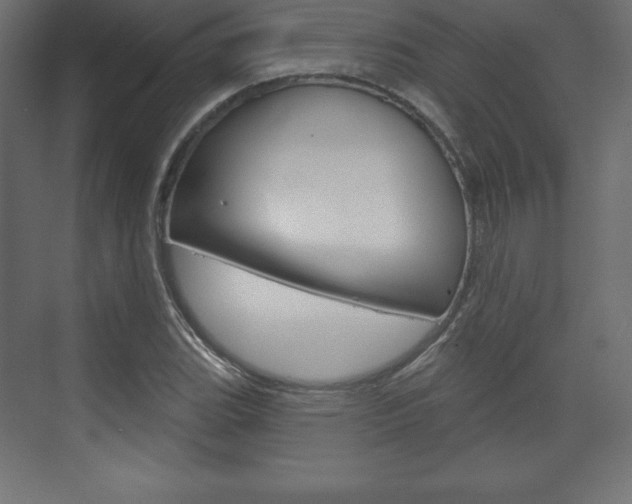 X0000073991119200608211035