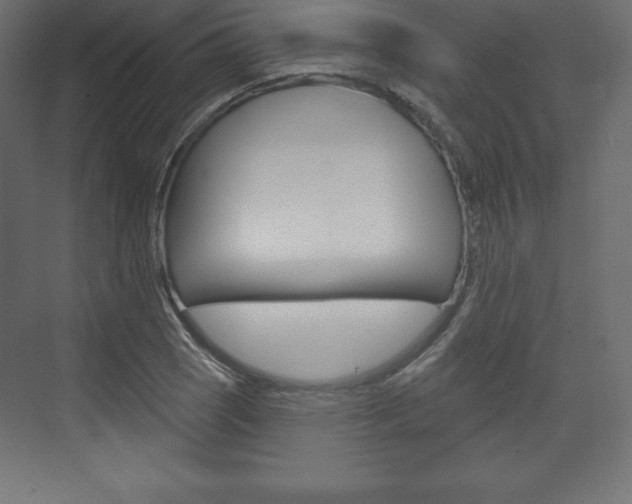 X0000073991121200608211035