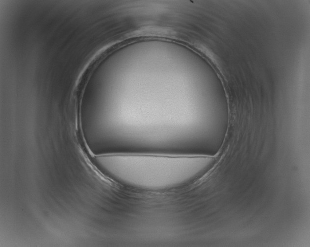 X0000073991123200608211035