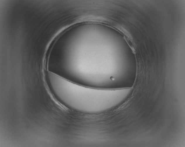 X0000073991128200608211035