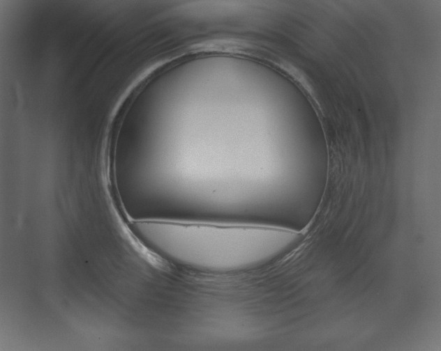 X0000073991131200608211035