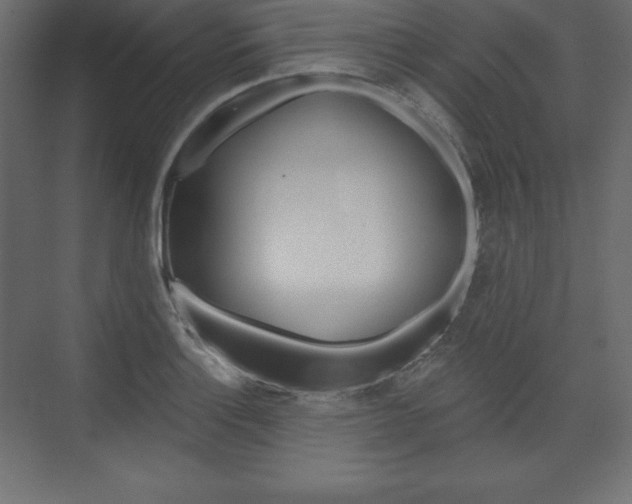 X0000073991132200608211035