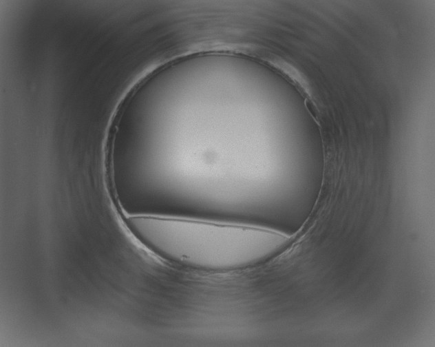 X0000073991135200608211035