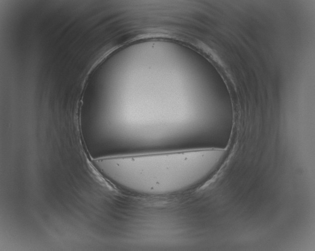 X0000073991137200608211035