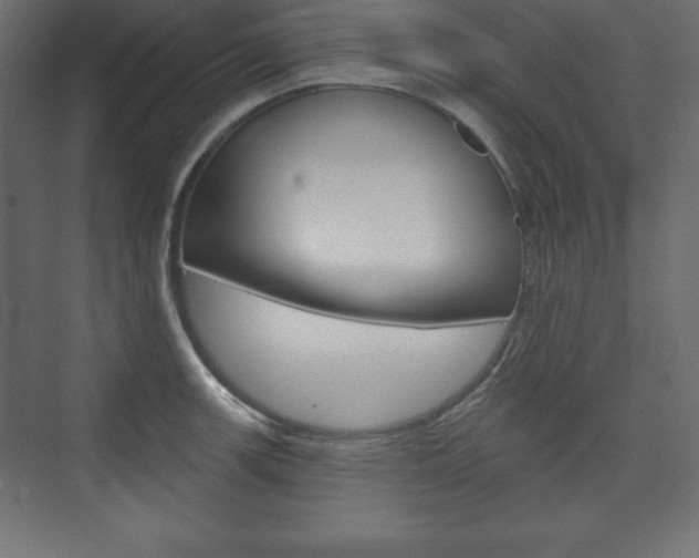 X0000073991139200608211035