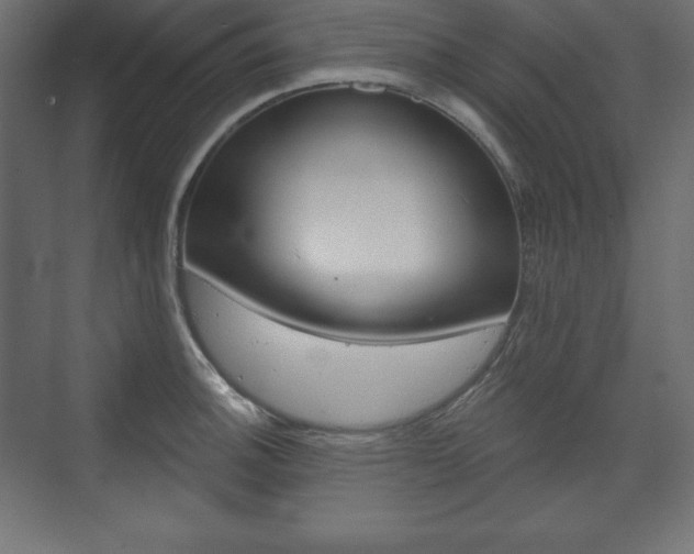 X0000073991140200608211035