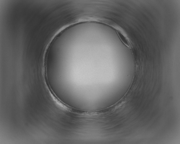 X0000073991143200608211035
