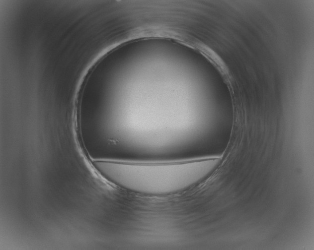 X0000073991144200608211035