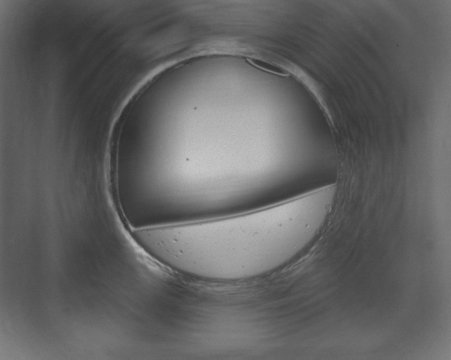 X0000073991147200608211035