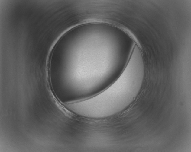 X0000073991148200608211035