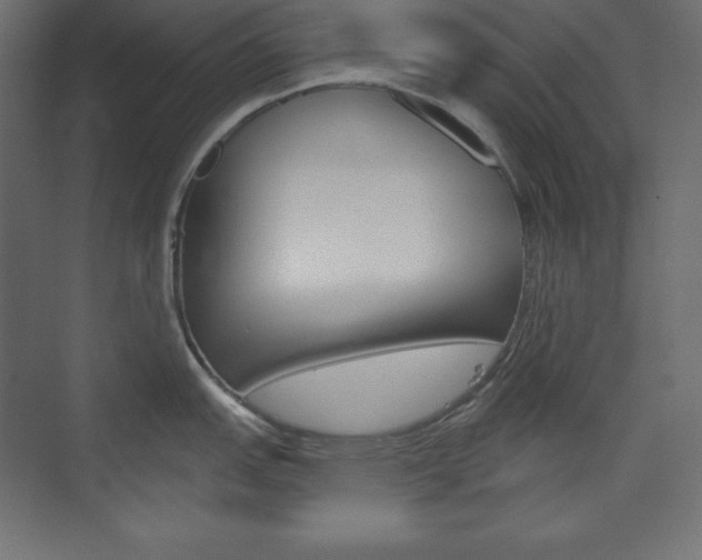 X0000073991151200608211035