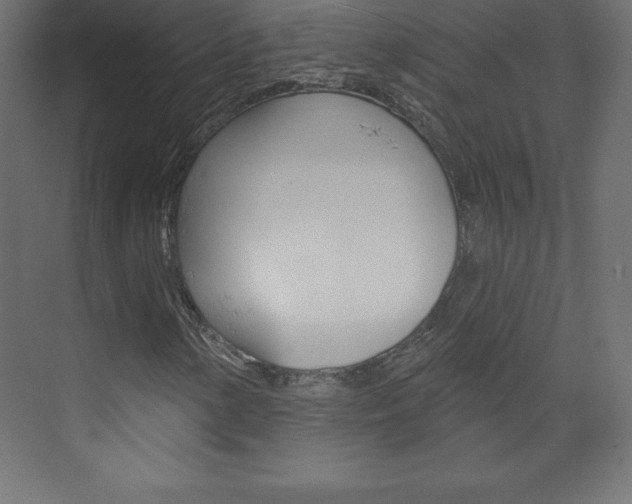 X0000073991154200608211034