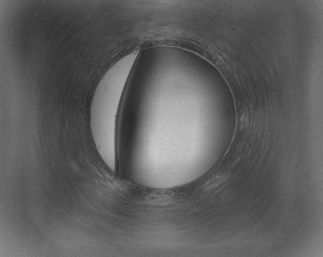 X0000073991156200608211034