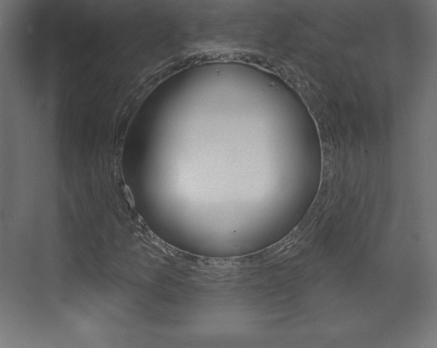 X0000073991157200608211034