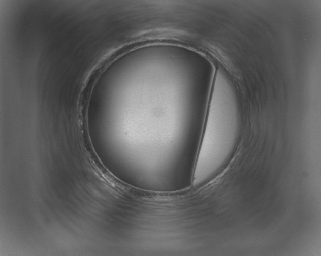 X0000073991164200608211034