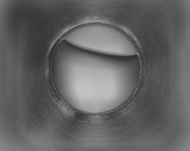 X0000073991167200608211034