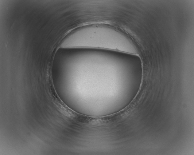 X0000073991169200608211034