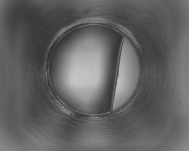 X0000073991176200608211034